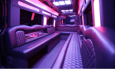 Cincinnati 14 Passenger Sprinter Bus Interior