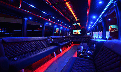 Buffalo 30 Passenger Party Bus Black Interior
